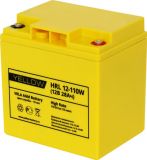 YELLOW HRL 12-110W